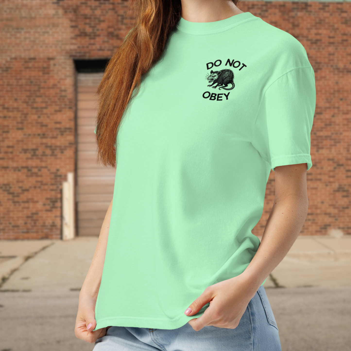 Do Not Obey In Advance, Spring Protest Shirt, Comfort Colors