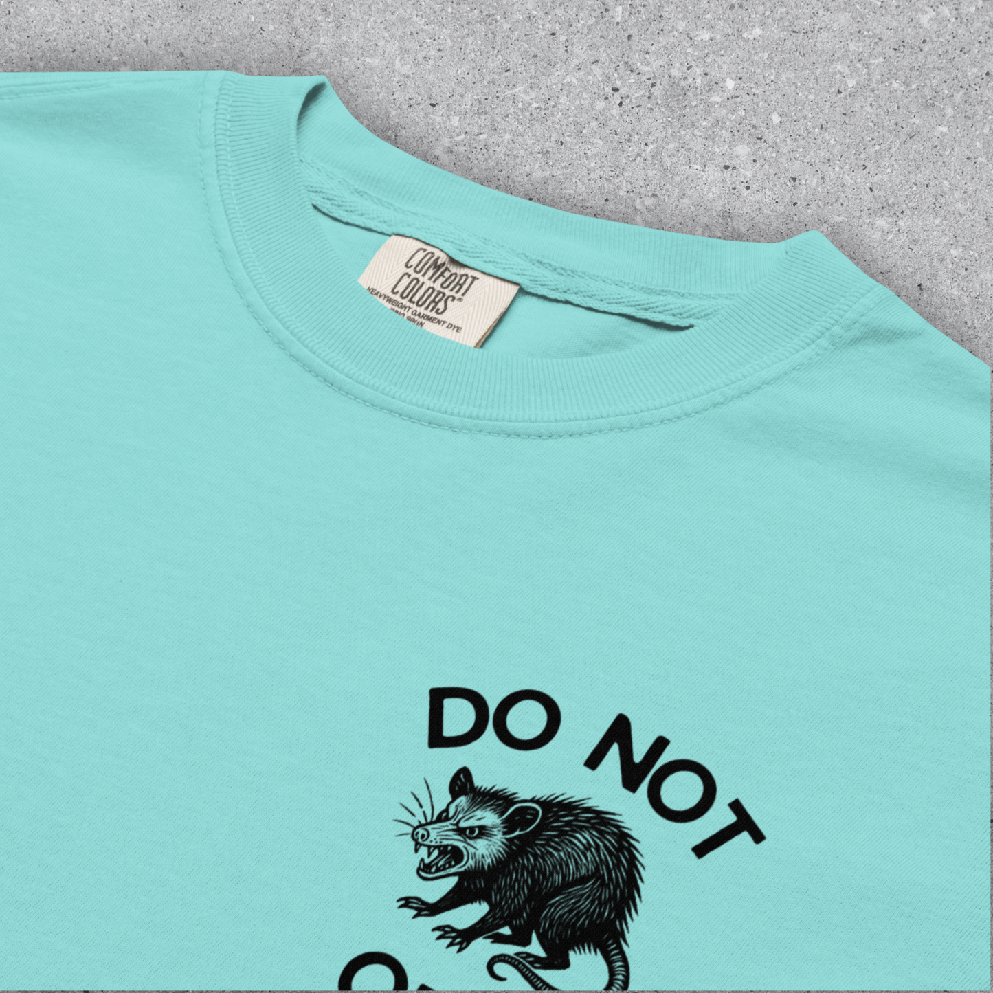 Do Not Obey In Advance, Spring Protest Shirt, Comfort Colors