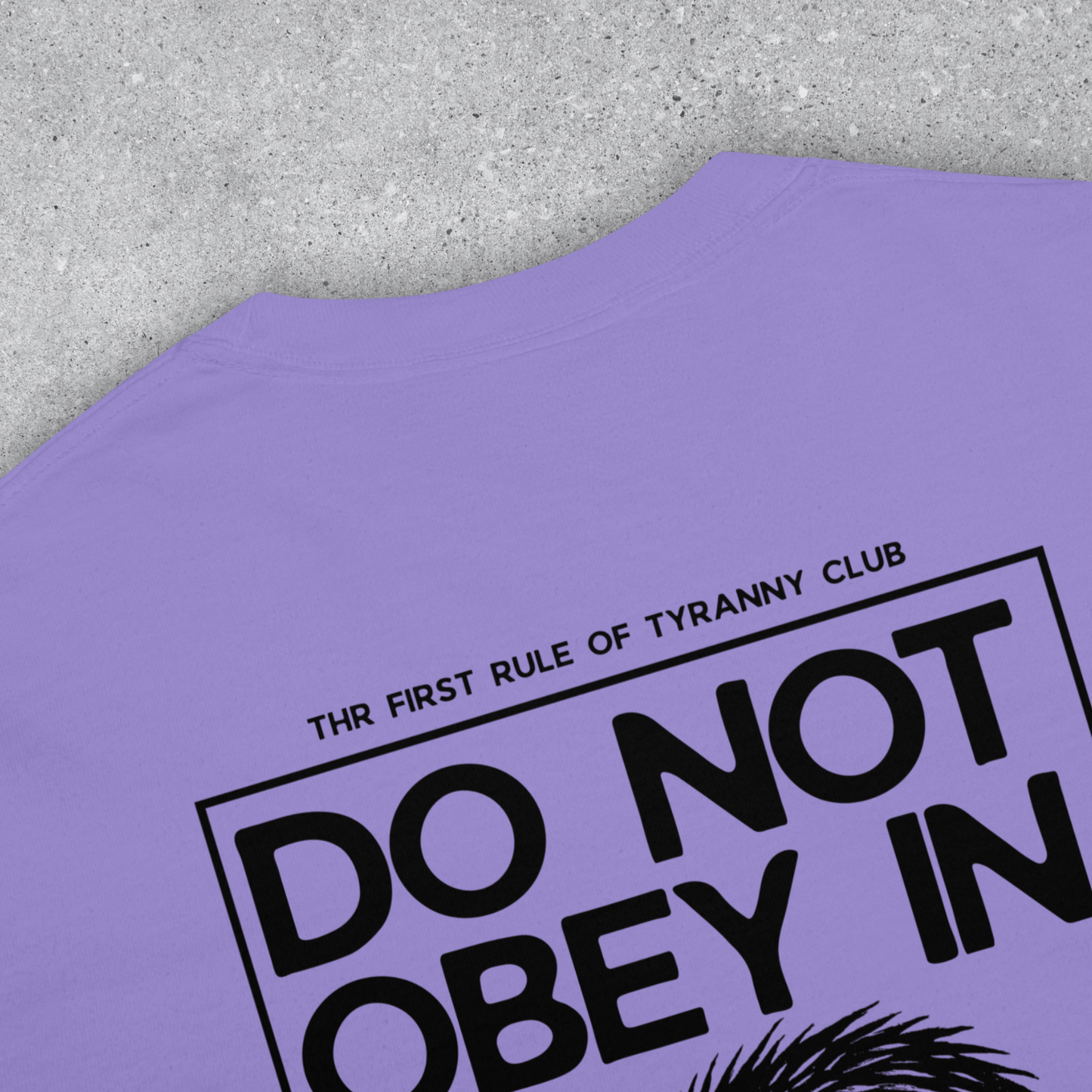 Do Not Obey In Advance, Spring Protest Shirt, Comfort Colors